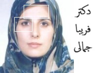 دکتر فریبا جمالی